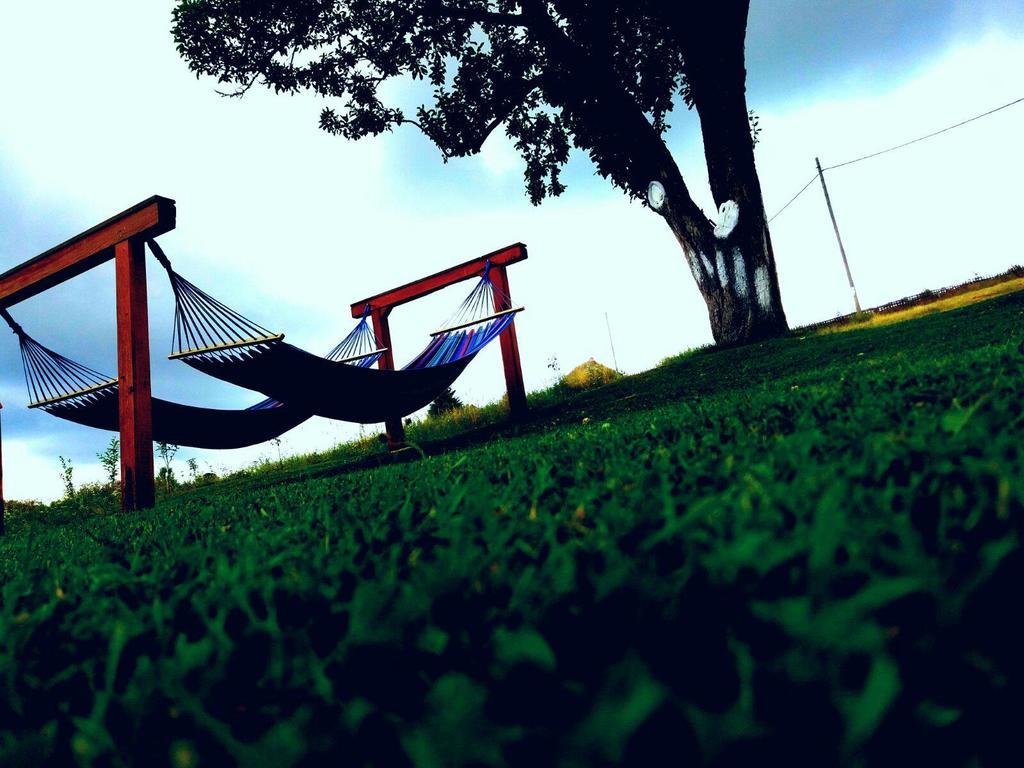 Pensiunea Casa Eden Mărişel Esterno foto