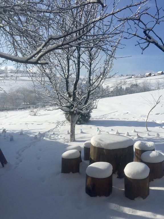 Pensiunea Casa Eden Mărişel Esterno foto